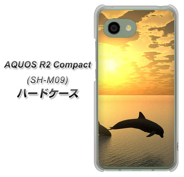 AQUOS R2 compact SH-M09 VA845 夕暮れのドルフィン ハードケース 背面印刷