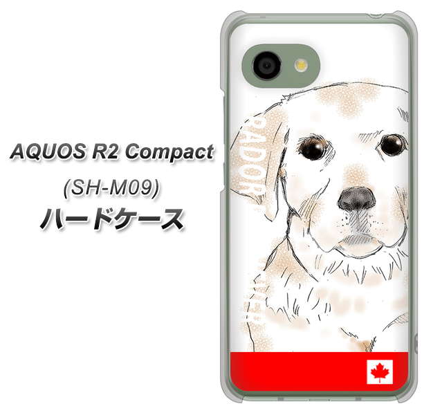 AQUOS R2 compact SH-M09 YD821 ラブラドールレトリバー02 ハードケース 背面印刷