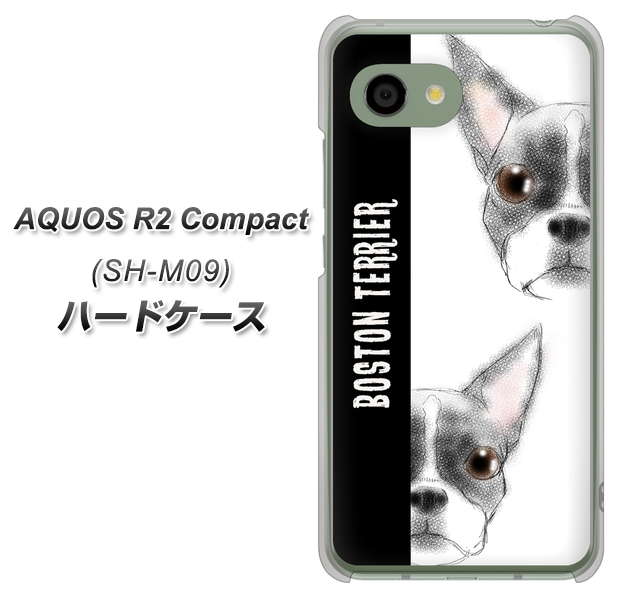 AQUOS R2 compact SH-M09 YD850 ボストンテリア01 ハードケース 背面印刷