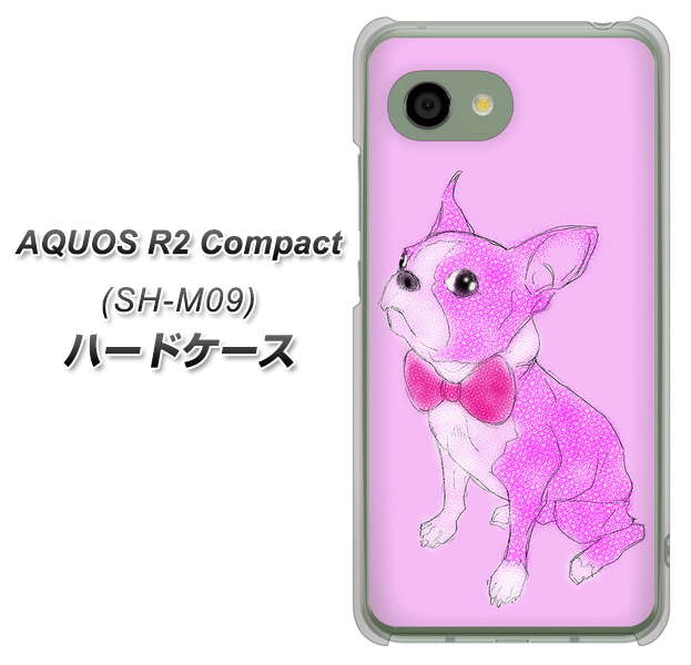 AQUOS R2 compact SH-M09 YD852 ボストンテリア03 ハードケース 背面印刷