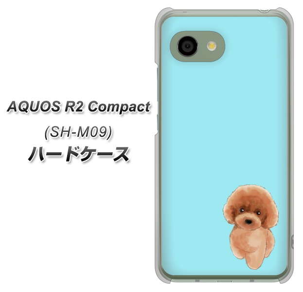 AQUOS R2 compact SH-M09 YJ050 トイプードルレッド（ブルー） ハードケース 背面印刷
