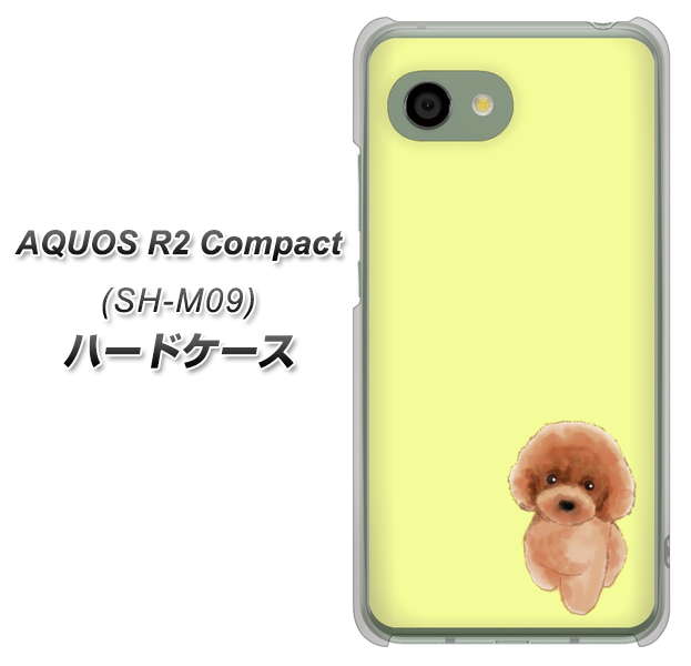 AQUOS R2 compact SH-M09 YJ051 トイプードルレッド（イエロー） ハードケース 背面印刷