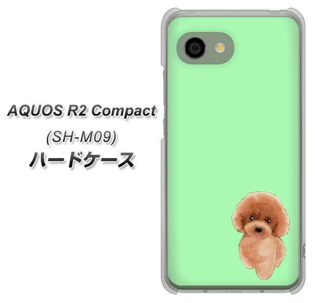 AQUOS R2 compact SH-M09 YJ052 トイプードルレッド（ グリーン） ハードケース 背面印刷