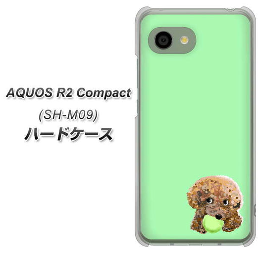 AQUOS R2 compact SH-M09 YJ055 トイプードル＆ボール（グリーン） ハードケース 背面印刷