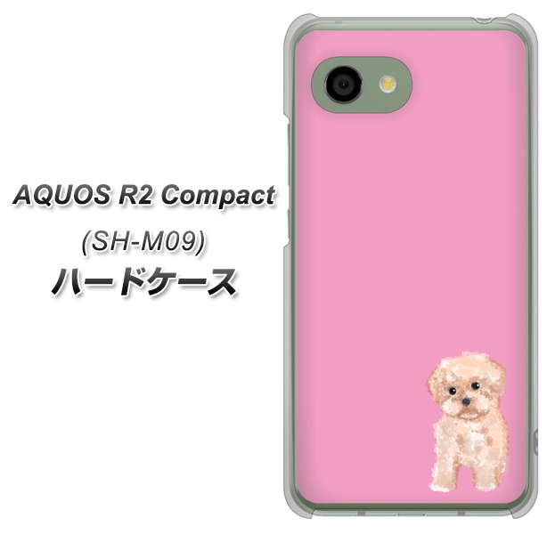 AQUOS R2 compact SH-M09 YJ061 トイプードルアプリコット（ピンク） ハードケース 背面印刷