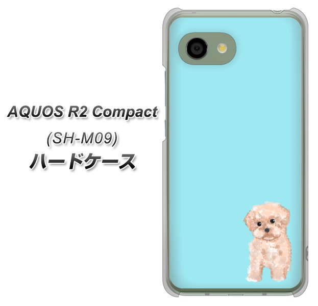 AQUOS R2 compact SH-M09 YJ062 トイプードルアプリコット（ブルー） ハードケース 背面印刷