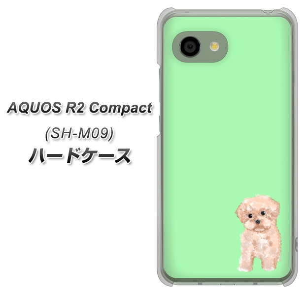 AQUOS R2 compact SH-M09 YJ063 トイプードルアプリコット（グリーン） ハードケース 背面印刷