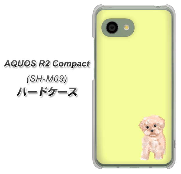 AQUOS R2 compact SH-M09 YJ064 トイプードルアプリコット（イエロー） ハードケース 背面印刷