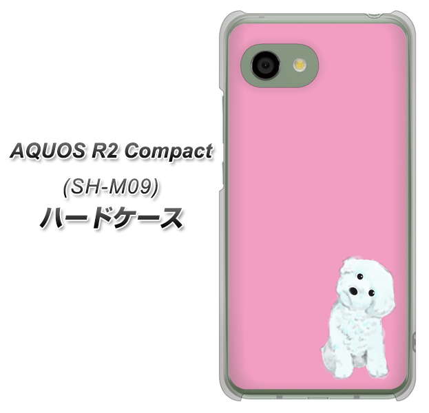 AQUOS R2 compact SH-M09 YJ069 トイプードルホワイト（ピンク） ハードケース 背面印刷