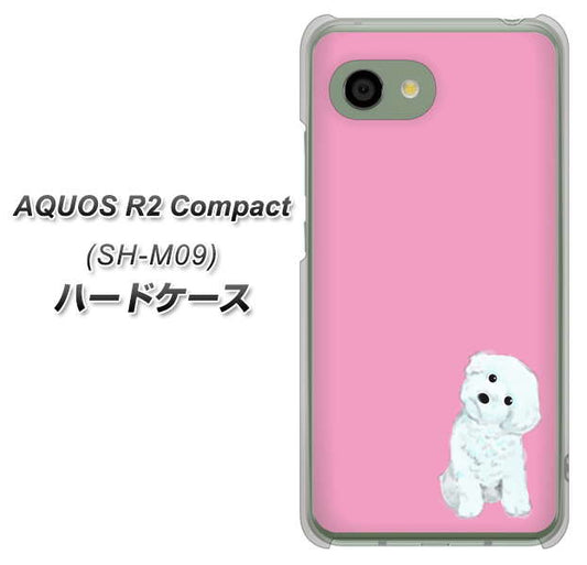 AQUOS R2 compact SH-M09 YJ069 トイプードルホワイト（ピンク） ハードケース 背面印刷