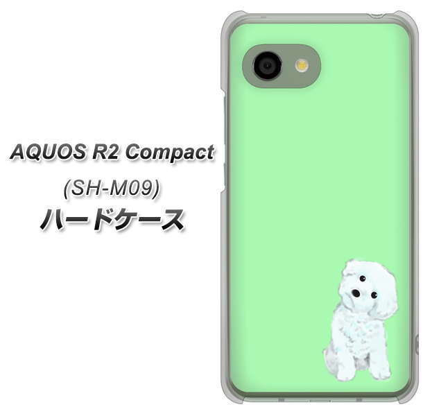 AQUOS R2 compact SH-M09 YJ071 トイプードルホワイト（グリーン） ハードケース 背面印刷