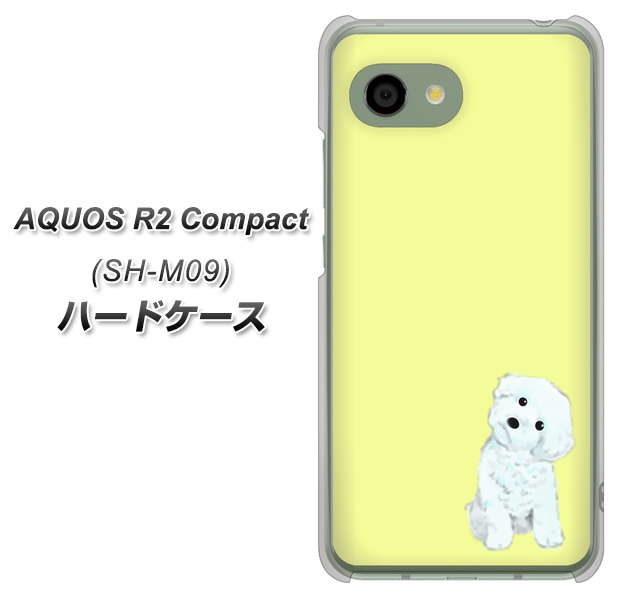 AQUOS R2 compact SH-M09 YJ072 トイプードルホワイト（イエロー） ハードケース 背面印刷