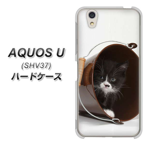 AQUOS U SHV37 au VA800 ネコとバケツ ハードケース 背面印刷