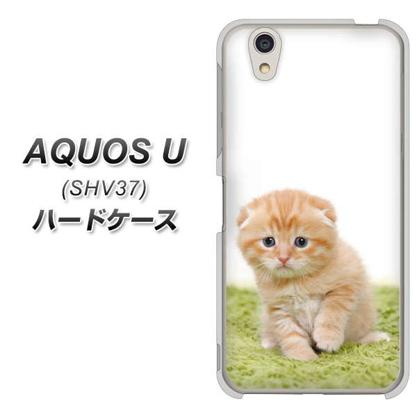 AQUOS U SHV37 au VA802 ネコこっそり ハードケース 背面印刷