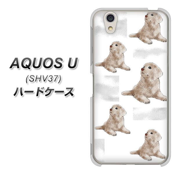 AQUOS U SHV37 au YD823 ラブラドールレトリバー04 ハードケース 背面印刷