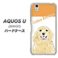 AQUOS U SHV37 au YD827 ゴールデンレトリバー03 ハードケース 背面印刷