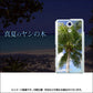 Xperia A SO-04E docomo EK843 真夏のヤシの木 ハードケース 背面印刷
