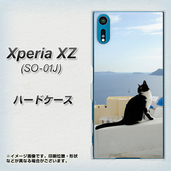 Xperia XZ SO-01J docomo VA805 ネコと地中海 ハードケース 背面印刷