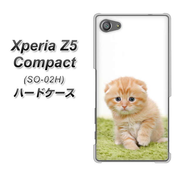 Xperia Z5 Compact SO-02H docomo VA802 ネコこっそり ハードケース 背面印刷