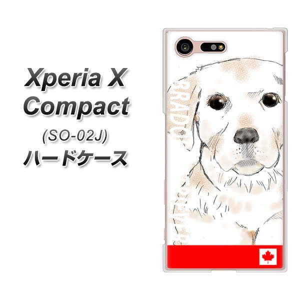 Xperia X Compact SO-02J docomo YD821 ラブラドールレトリバー02 ハードケース 背面印刷