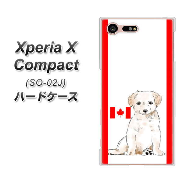 Xperia X Compact SO-02J docomo YD824 ラブラドールレトリバー05 ハードケース 背面印刷