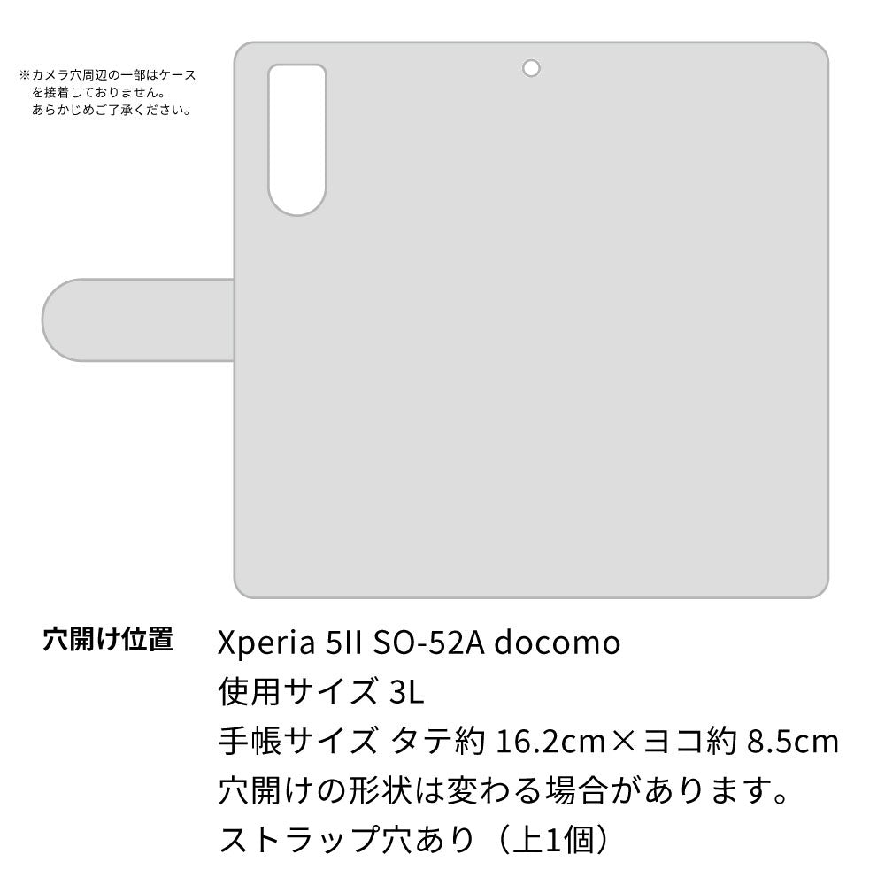 Xperia 5II SO-52A docomo 高画質仕上げ プリント手帳型ケース(通常型)【1112 音符とじゃれるネコ2】
