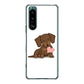 Xperia 5 III SO-53B docomo 394 I love ダックス ハードケース 背面印刷