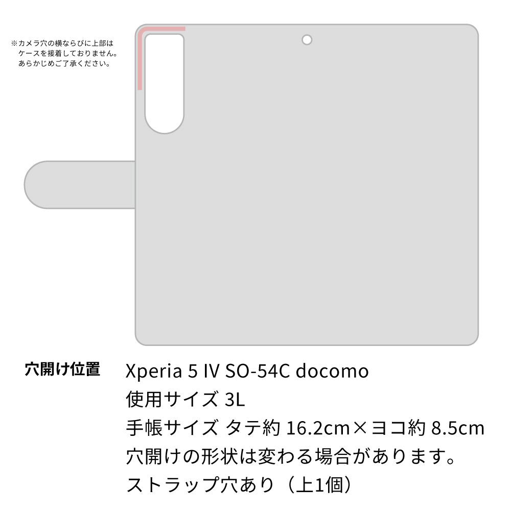 Xperia 5 IV SO-54C docomo 高画質仕上げ プリント手帳型ケース(薄型スリム)猫とドア