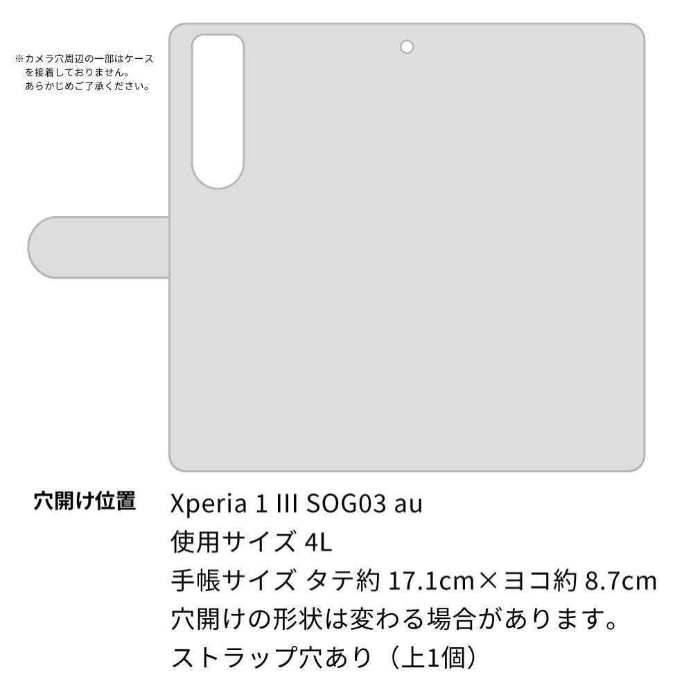 au エクスペリア1 III SOG03 高画質仕上げ プリント手帳型ケース(通常型)【YG800 アウル01】