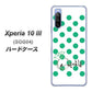 Xperia 10 III SOG04 au OE814 5月エメラルド ハードケース 背面印刷