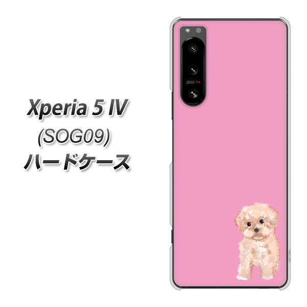 Xperia 5 IV SOG09 au 高画質仕上げ 背面印刷 ハードケース【YJ061 トイプードルアプリコット（ピンク）】