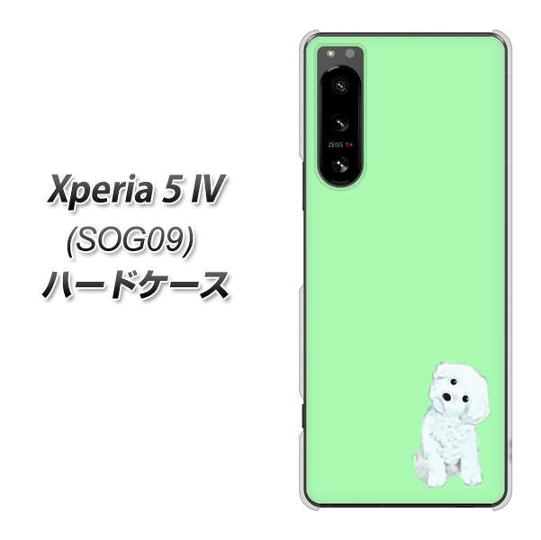 Xperia 5 IV SOG09 au 高画質仕上げ 背面印刷 ハードケース【YJ071 トイプードルホワイト（グリーン）】