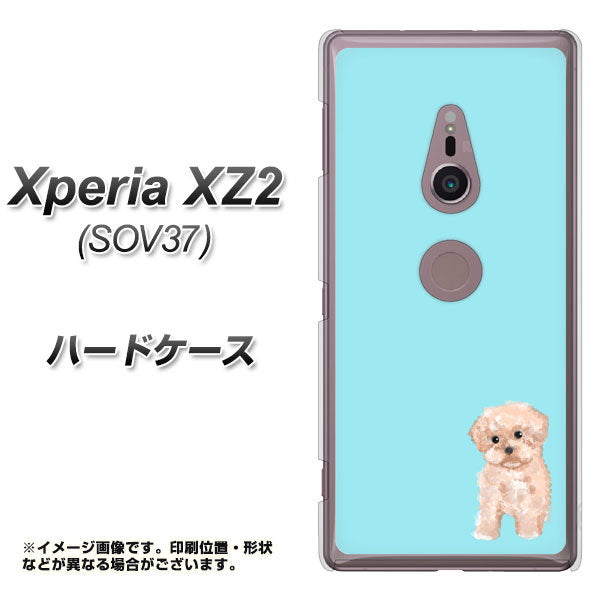 Xperia XZ2 SOV37 au YJ062 トイプードルアプリコット（ブルー） ハードケース 背面印刷