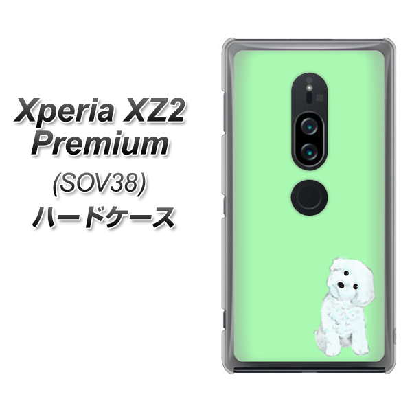 Xperia XZ2 Premium SOV38 au YJ071 トイプードルホワイト（グリーン） ハードケース 背面印刷