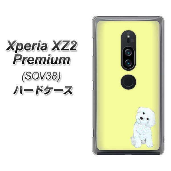 Xperia XZ2 Premium SOV38 au YJ072 トイプードルホワイト（イエロー） ハードケース 背面印刷