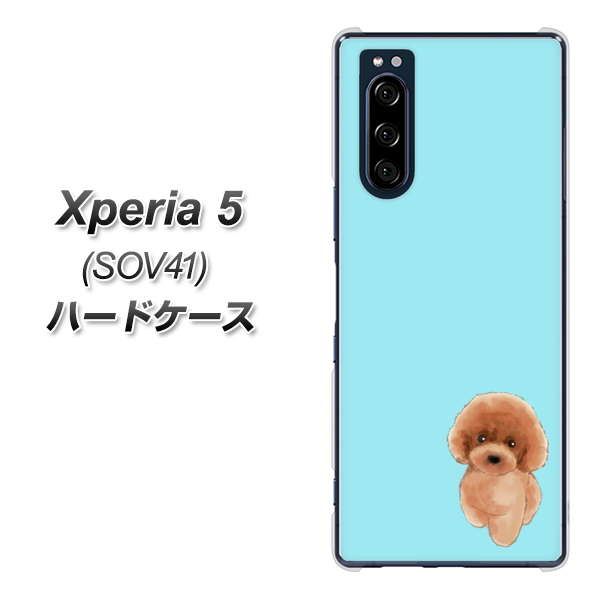 au エクスペリア5 SOV41 高画質仕上げ 背面印刷 ハードケース【YJ050 トイプードルレッド（ブルー）】