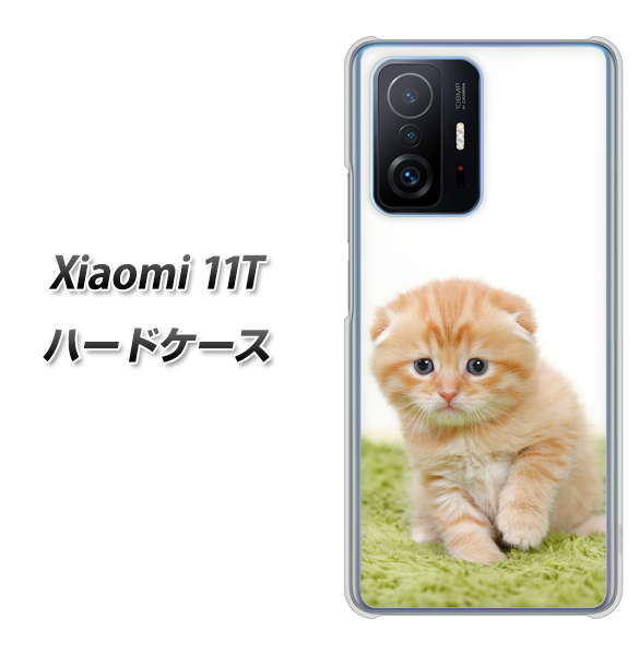 Xiaomi 11T VA802 ネコこっそり ハードケース 背面印刷
